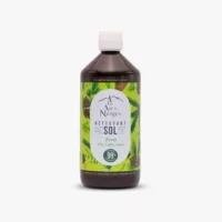 Nettoyant Sol Forêt