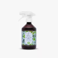 Nettoyant Vitres Thym