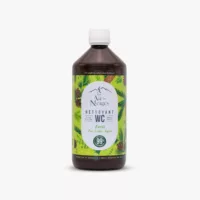 Nettoyant WC Forêt