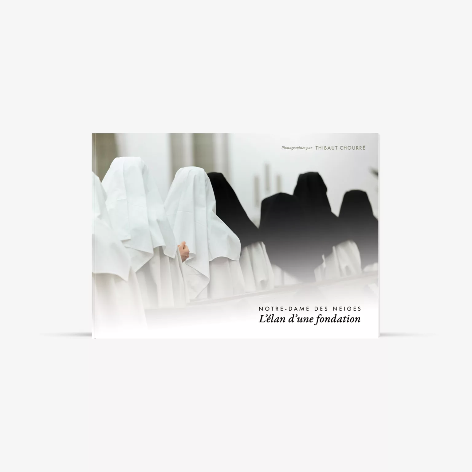 L'élan d'une fondation